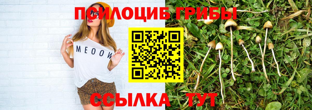 Псилоцибиновые грибы мухоморы Костомукша